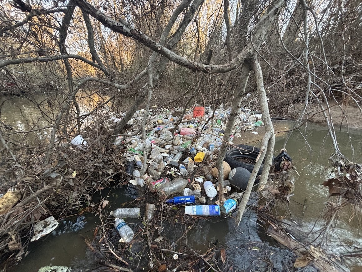 Plastic bottles and other trash are caught among tree branches and debris along the edge of a creek, partially submerged in shallow water.