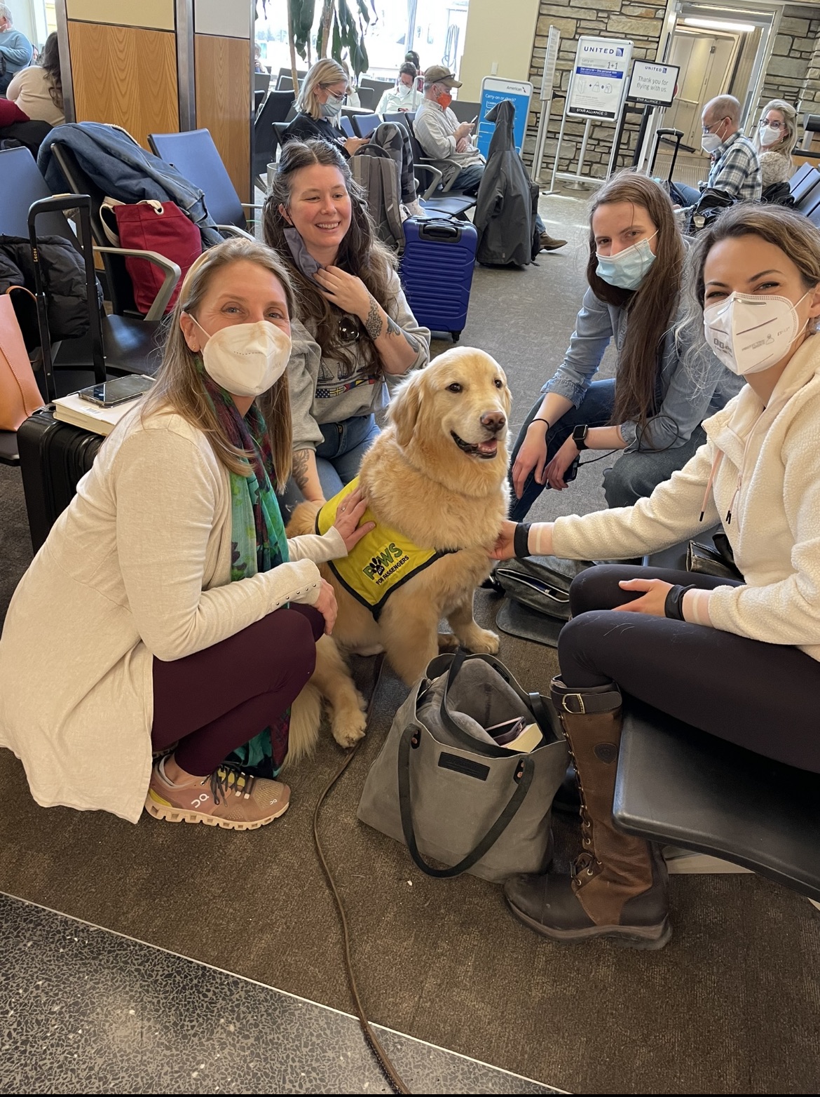 people wearing masks sit in a circle around a golden retriever therapy dog.