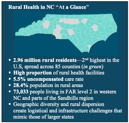 Graphic included in the state's proposal for the Rural Health Transformation Program showing counties defined as 